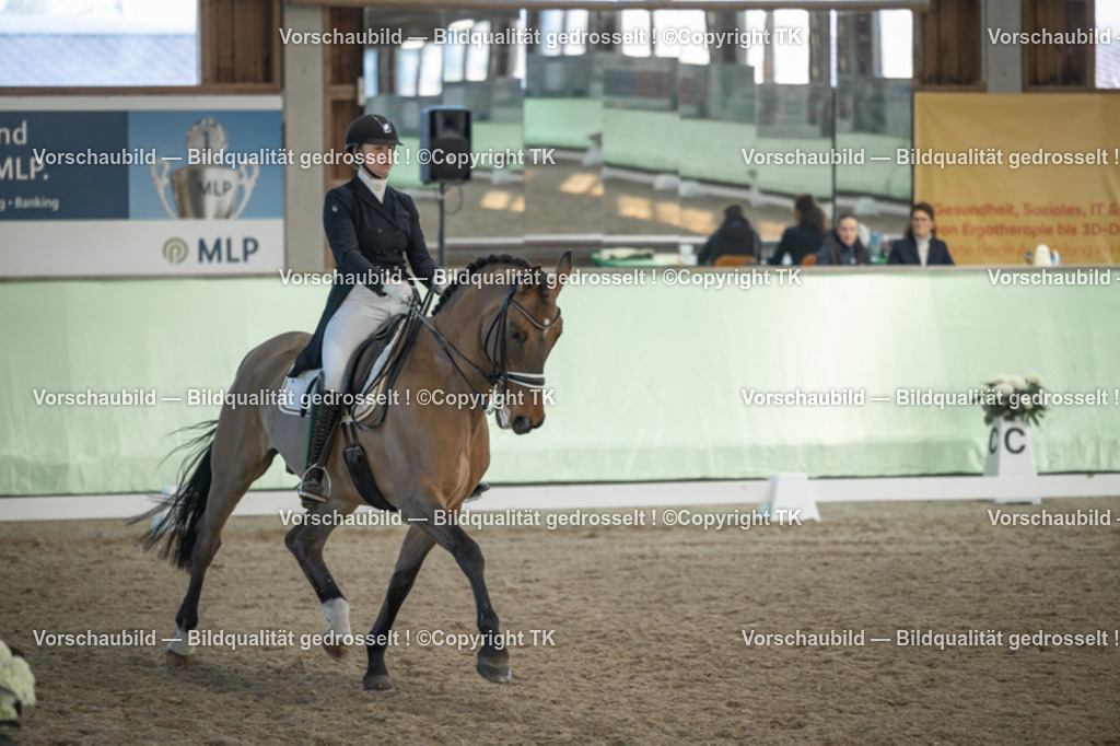 _D5A0875 | Emotionale Pferde- & People-Fotografie rund um Heidelberg, Leimen & Umgebung. Natürliche Fotos von Pferd, Mensch & Familie. Jetzt Termin sichern!