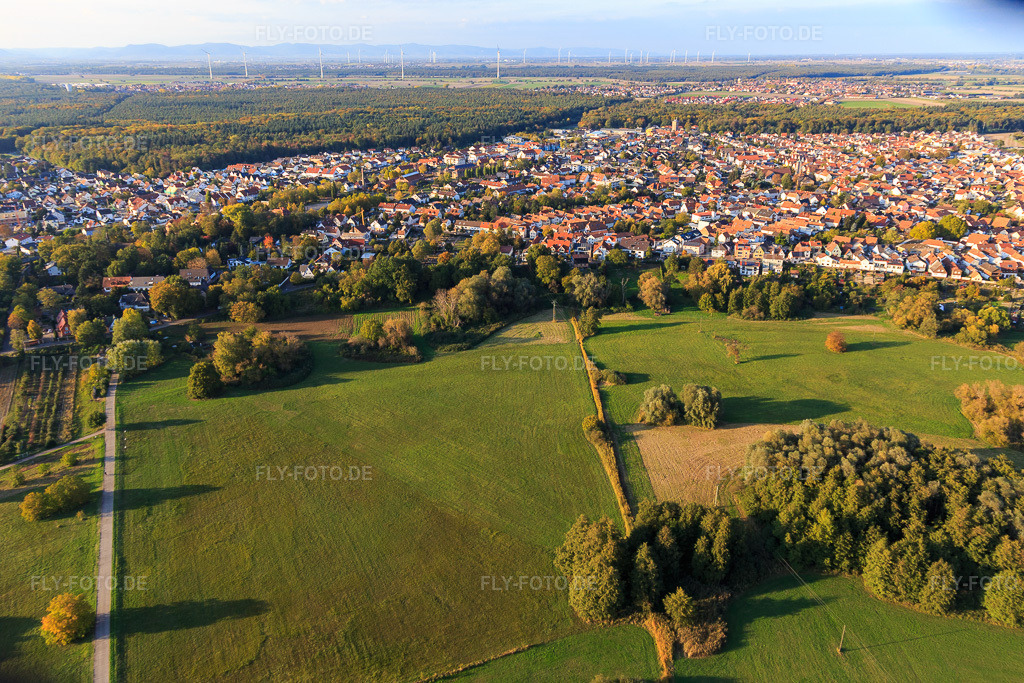 Luftbild: Park an der Ziegelbergstraße in Jockgrim im Bundesland Rheinland-Pfalz in Deutschland. Foto: IMG_123347.jpg vom 19.10.2020 durch Werner Riehm/FLY-FOTO.de
