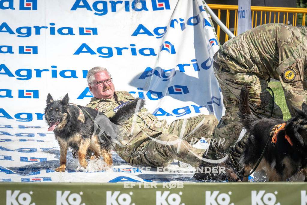 1312_ZZ98862 | kk-dogfotos