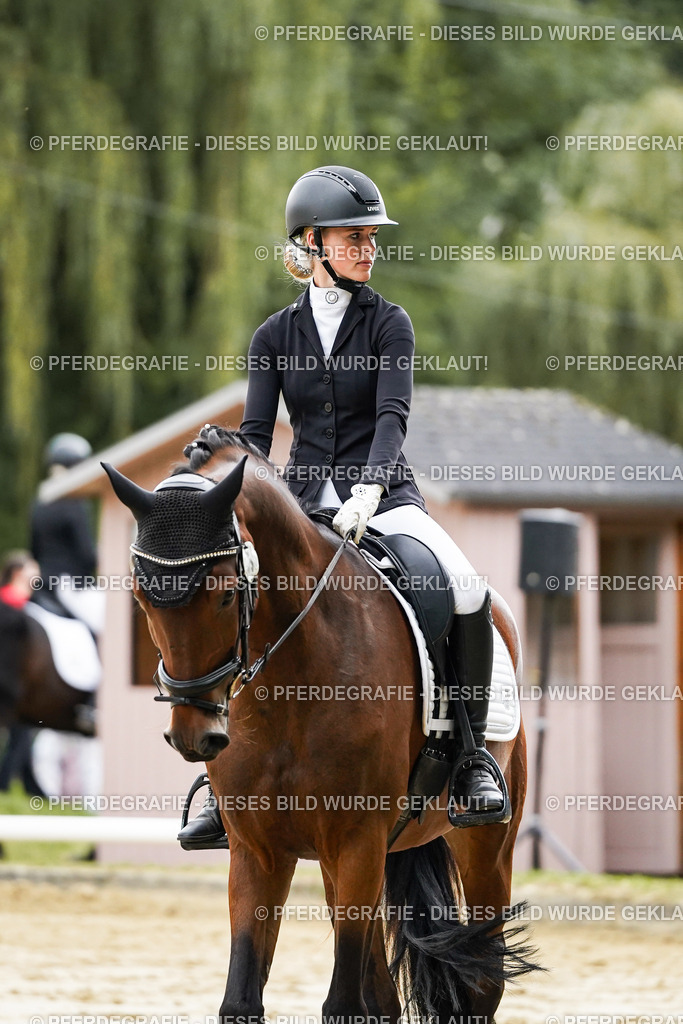 DSC06201 | Pferdegrafie