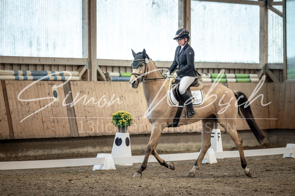 20251011-_3LI5930 | Tierfotografie Pferde, Hunde, Katzen, Haustiere.
Turnierfotografie Reitturniere, Reiten, Springreiten, Dressur in Hanau, dem Main-Kinzig-Kreis und dem Rhein-Main- Gebiet um Frankfurt