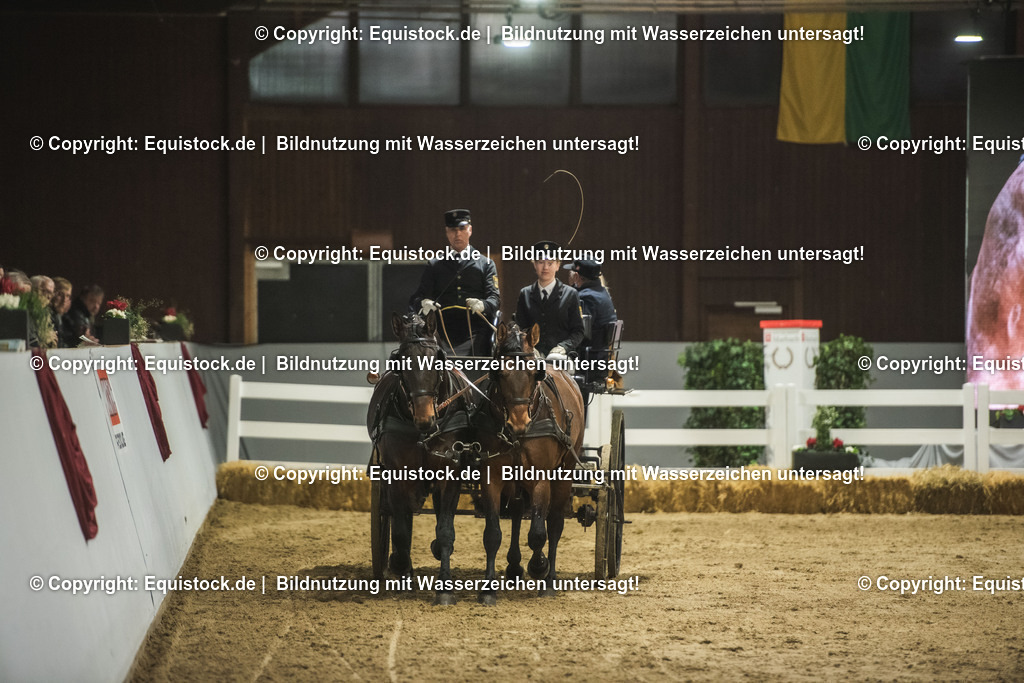 20240302_Hengstvorstellung_Marbach_TOMsPiC_0735 | equistock