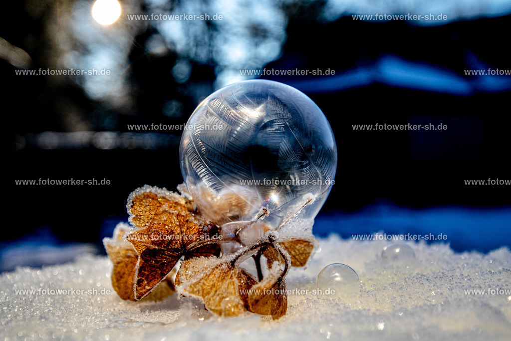 210214721_0572 | Fotowerker-sh - Realisiert mit Pictrs.com