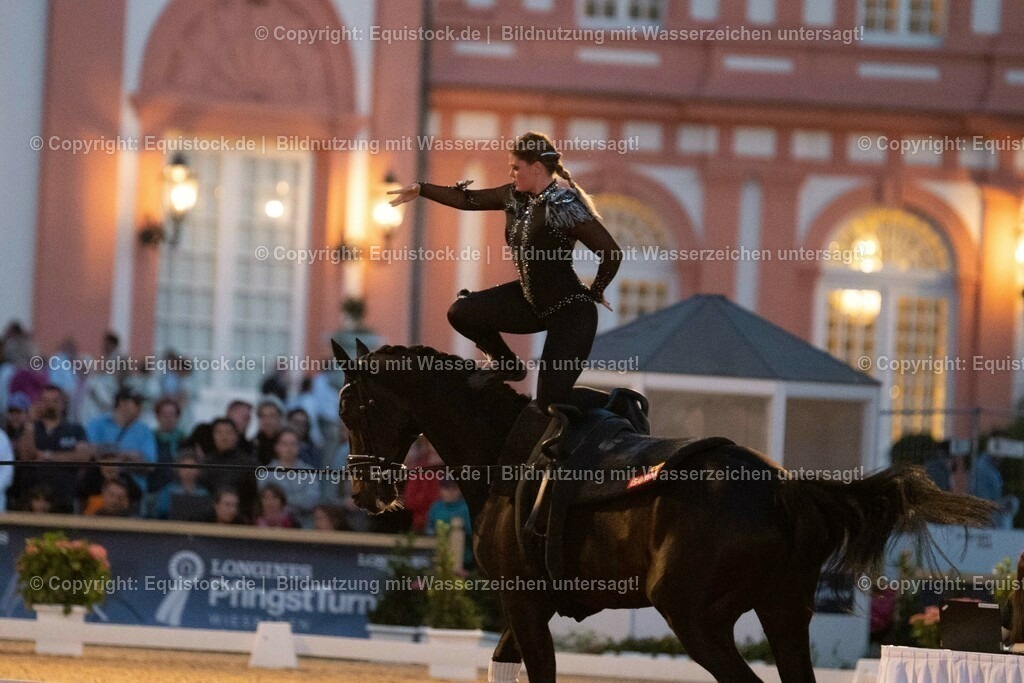 20230527_Voltigieren_NASPA_Flutlicht_0571 | equistock