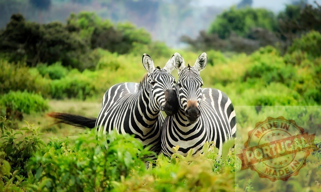 Zebras nuzzling in green African savannah | Zebras standing closely, showing affection and companionship in African wilderness - Realized with Pictrs.com