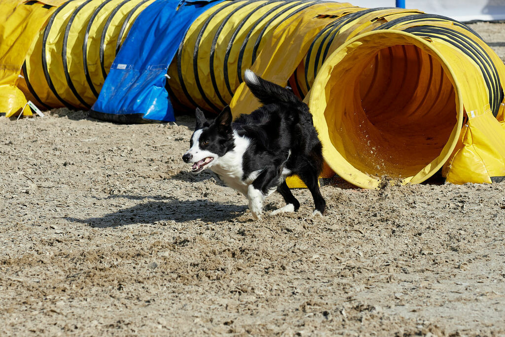 580B0052 | Peter Fridle Fotografie - Realisiert mit Pictrs.com