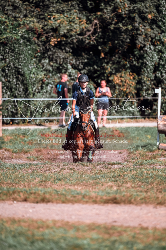 DSC_0974 | Pferde- und Turnierfotografie in Westsachsen. Pferdeportraits, Auftragszeichnungen und intuitive Kunst.