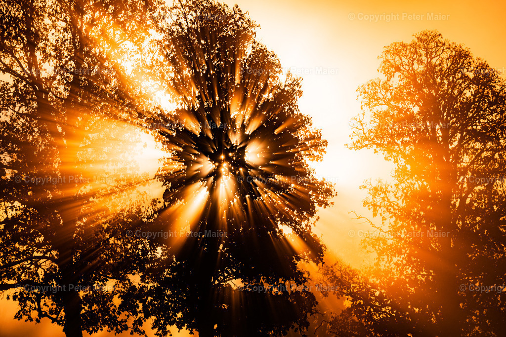 Landschaft_Divers-16 | piet_flosse