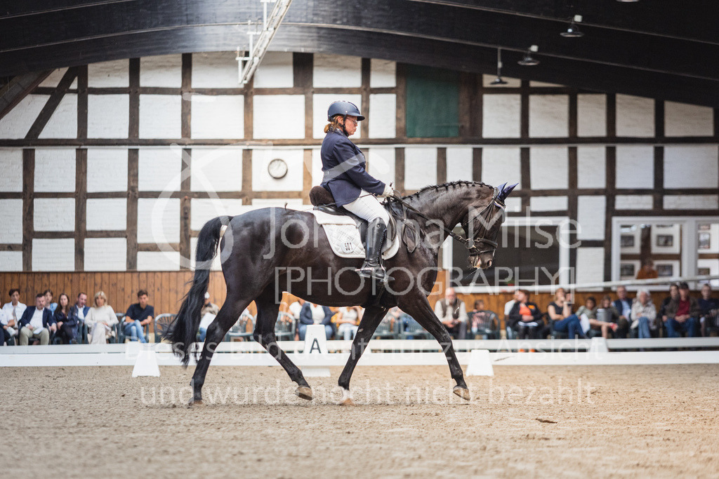 230729_BHO_Para_WB-358 | Deine schönsten Turniermomente als professionelle Fotos! Entdecke hochwertige Pferdesport-Fotografie im Online-Shop. Jetzt Fotos finden & bestellen!