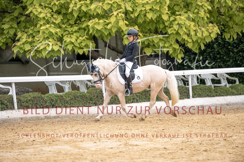 Schugtsche-Aluta25-40.DressurprfA_-460 | Schugtsche Fotografie - Realisiert mit Pictrs.com