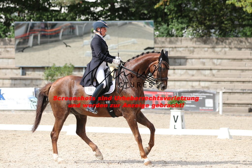 IMG_6616 | lmwpictures - Realisiert mit Pictrs.com