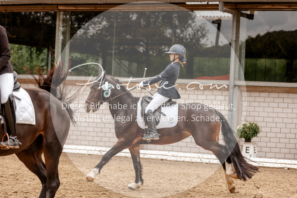 3I6A7976 | Stimmungsvolle Portraits und Reitsportfotografie im Ruhrgebiet und im Münsterland.

Pferdefotografie, Hundefotografie, Tierfotografie, Reportagen, Portraits von Tier und Mensch, Turnierfotografie in Bochum, Recklinghausen, Marl, Haltern am See, Dülmen.. - Realisiert mit Pictrs.com