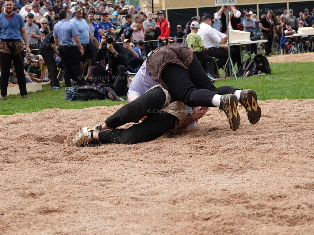DSC07214 | Schwingen - Realisiert mit Pictrs.com