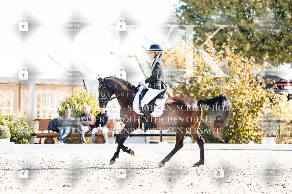 CK909077 | Turnierfotografie Pferdefotografie Trier Rheinland-Pfalz Pferdesport Reitsport Tierfotografie Sportfotografie Pferdevideo Pferdevideografie Equestrianvideography equestrianphotography  - Realisiert mit Pictrs.com