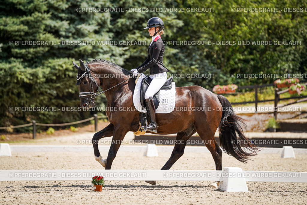 DSC01629 | Pferdegrafie