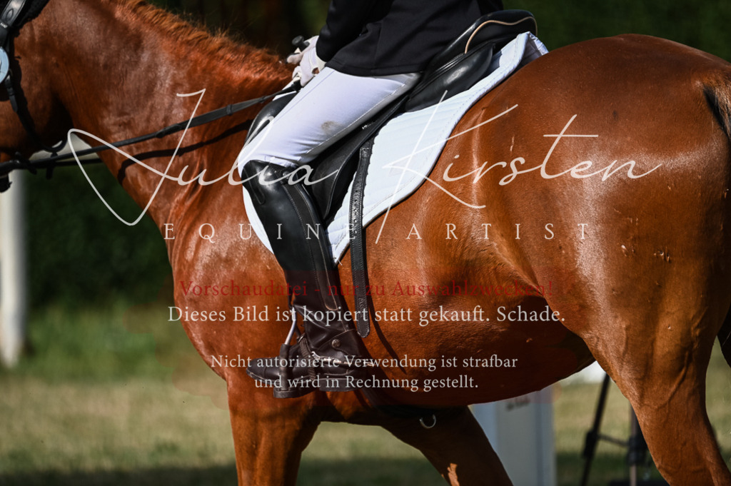 DSC_7770 | Pferde- und Turnierfotografie in Westsachsen. Pferdeportraits, Auftragszeichnungen und intuitive Kunst.