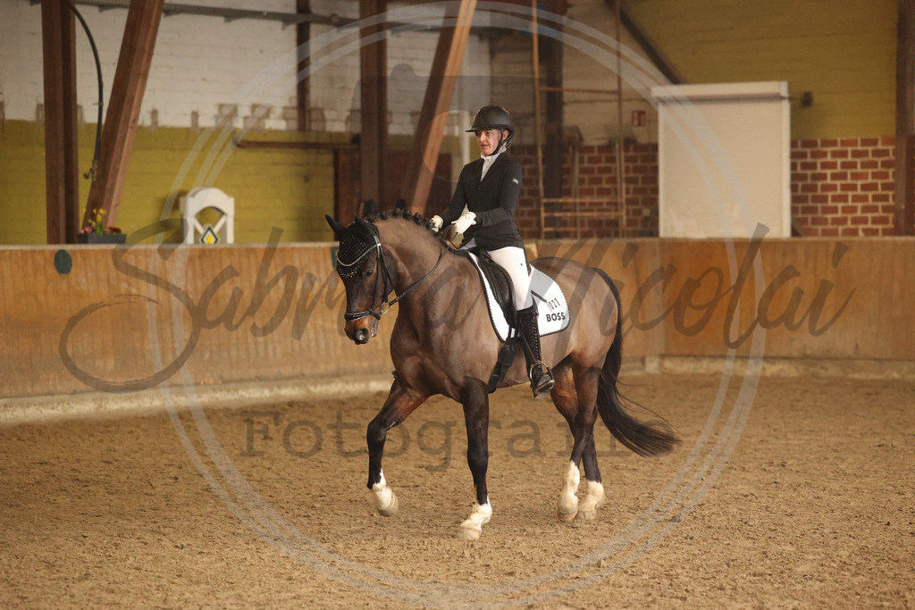 994A9151 | sabrinanicolaifotografie - Realisiert mit Pictrs.com