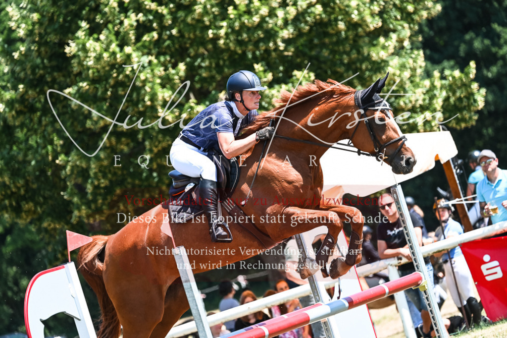 DSC_0130 | Pferde- und Turnierfotografie in Westsachsen. Pferdeportraits, Auftragszeichnungen und intuitive Kunst.