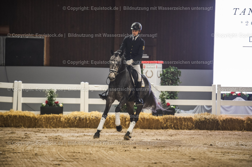 20240302_Hengstvorstellung_Marbach_TOMsPiC_0166-2 | equistock