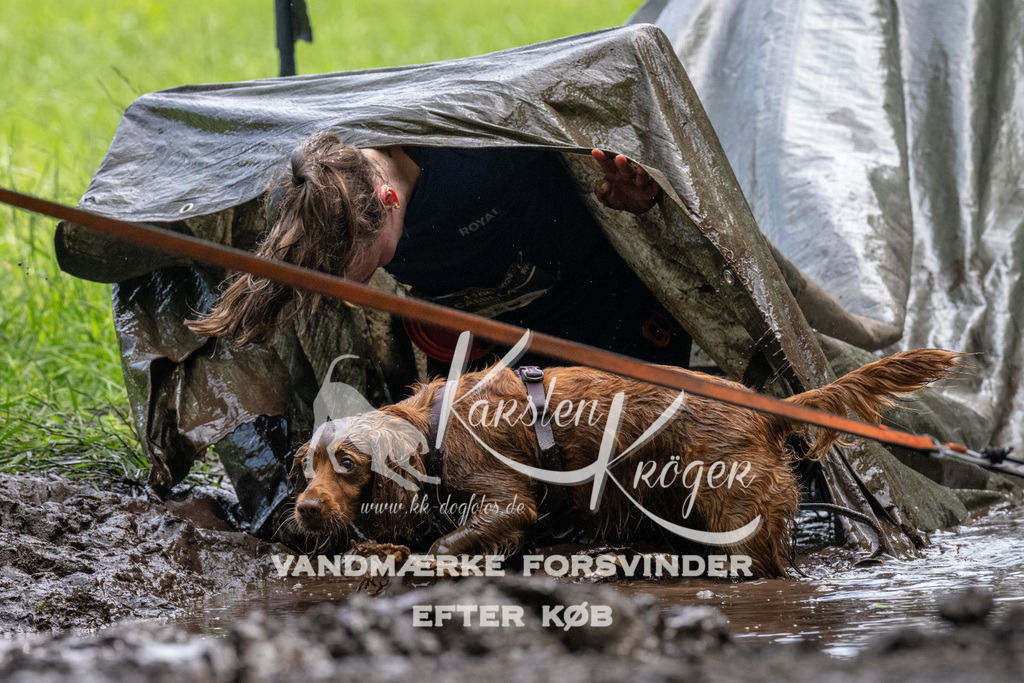 1136_ZZ93262 | kk-dogfotos