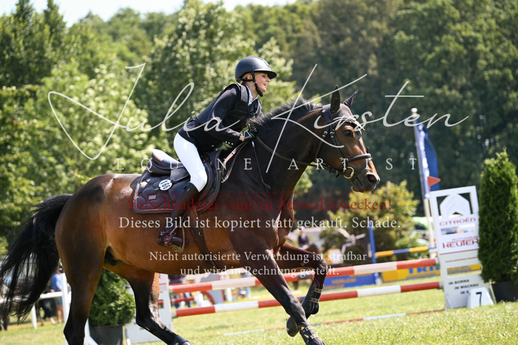 DSC_8969 | Pferde- und Turnierfotografie in Westsachsen. Pferdeportraits, Auftragszeichnungen und intuitive Kunst.