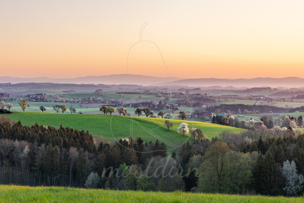 Morgentliches Farbenspiel | Bei Veröffentlichung des Bildes ist eine Namensnennung wie folgt erforderlich: Foto: Mostdirn Irmgard Wieser - Realisiert mit Pictrs.com