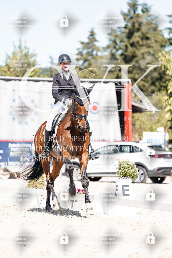 CK909825 | Turnierfotografie Pferdefotografie Trier Rheinland-Pfalz Pferdesport Reitsport Tierfotografie Sportfotografie Pferdevideo Pferdevideografie Equestrianvideography equestrianphotography  - Realisiert mit Pictrs.com