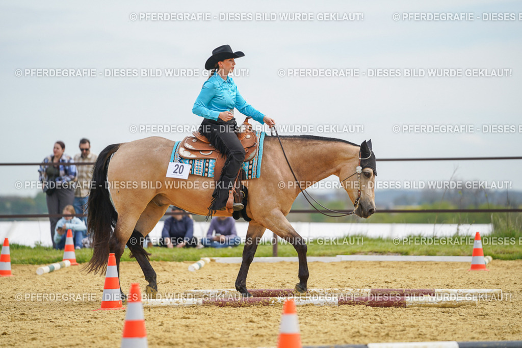 DSC03419 | Pferdegrafie