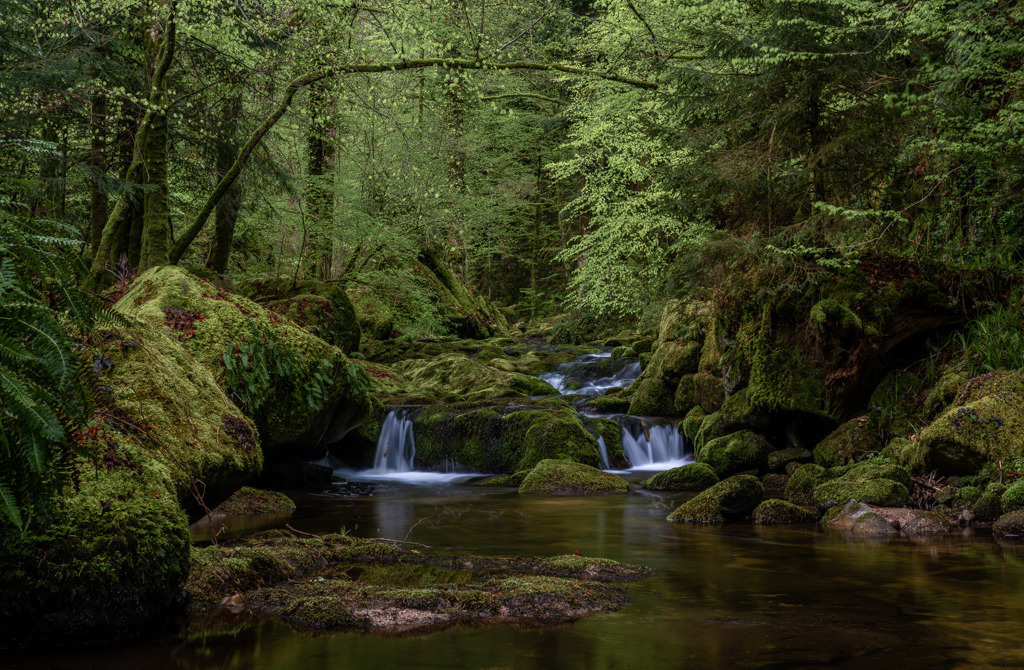 Der Grobbach in grünem Kleid | Sogenanntes schlechtes Wetter lud mich ein, eine Fotowanderung am Grobbach im Nordschwarzwald zu unternehmen. Am frühen Morgen fand ich mich in wohliger Waldatmosphäre wieder. - Realisiert mit Pictrs.com