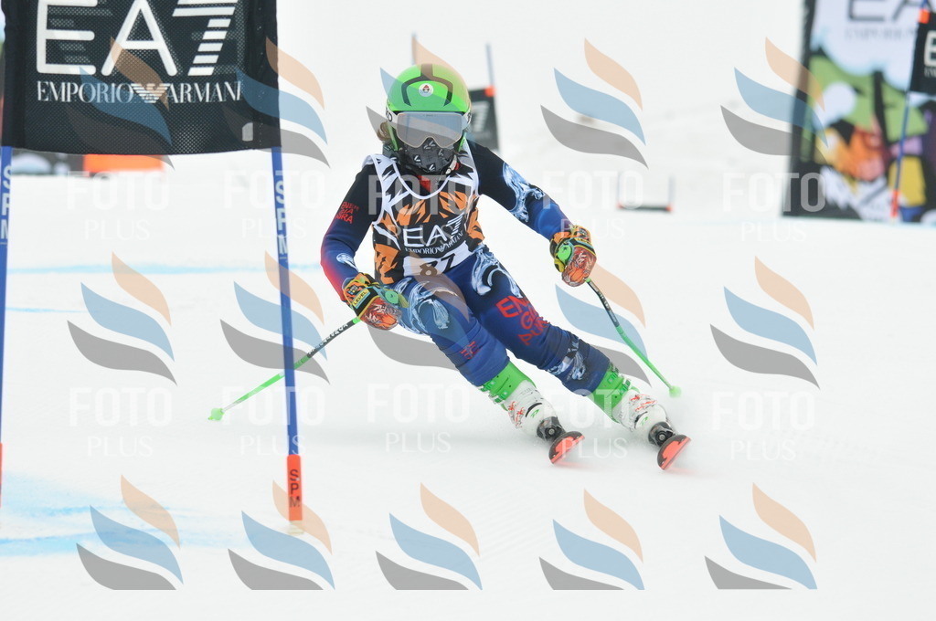 DSC_7920 | holidayphoto