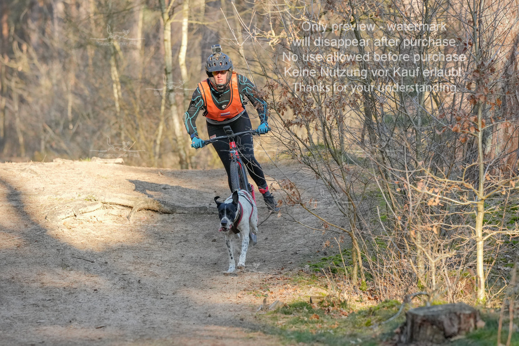 Sa_Scooter-6 | stephaniefillaphotographie - Realisiert mit Pictrs.com