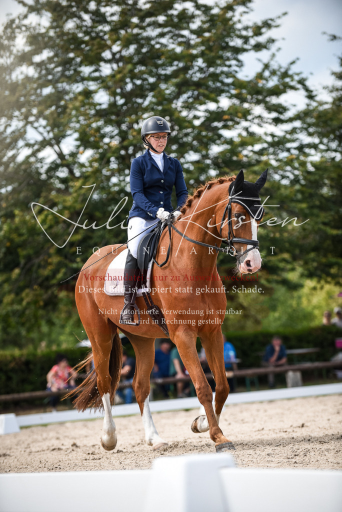 DSC_9219 | Pferde- und Turnierfotografie in Westsachsen. Pferdeportraits, Auftragszeichnungen und intuitive Kunst.