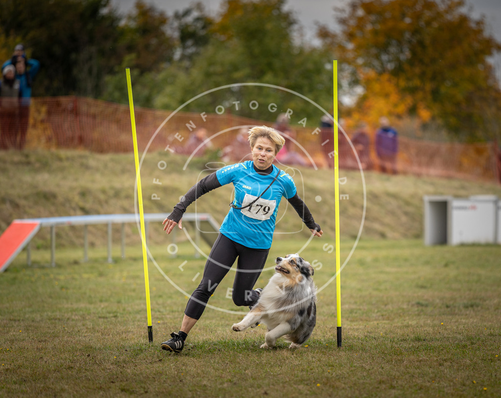 Pfotenfotografie_DV3A5779 | Hundefotografie, Tierfotograf, Pfotenfotografie, Fotoshooting Hund, Hunde Portrait, Hundesport, Hundeportraits, Heideshooting, Hunde, Sportfotograf, Hundefotograf, Turnierhundsport, THS,  - Realisiert mit Pictrs.com