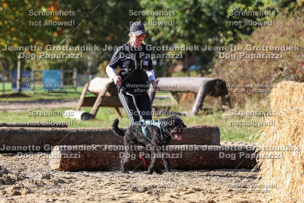 Dog Paparazzi - Strongdog 10-25-4657 | Dog Paparazzi Jeanette Grottendiek Fotografie & Videografie - Realisiert mit Pictrs.com