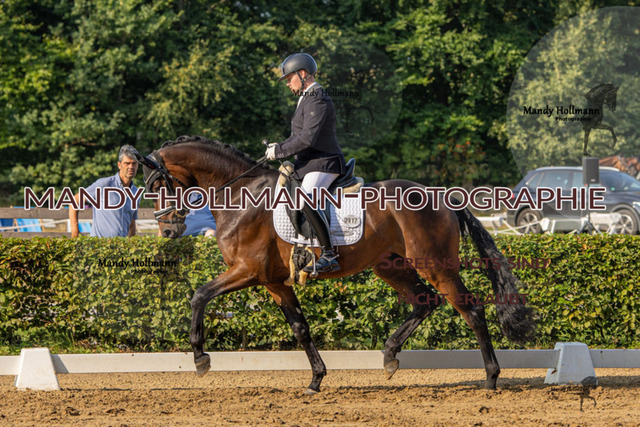 15.8.25 D1 RPF 3j (74 von 255) | mandyhollmannphotographie