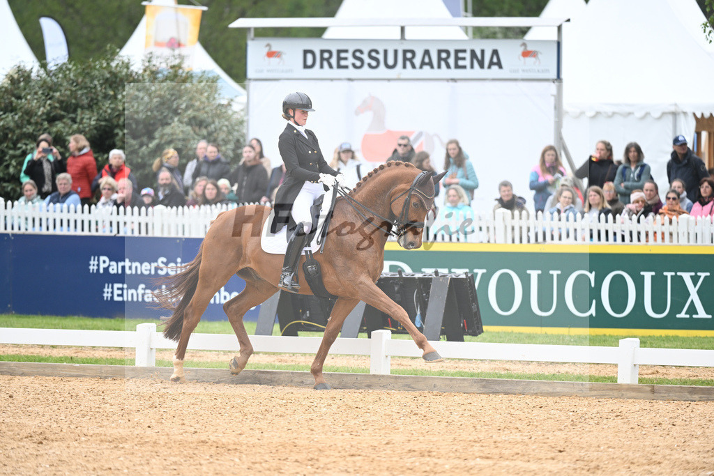 Ponnath_Fifty Fifty_11232343 | hf-fotografie - Realisiert mit Pictrs.com