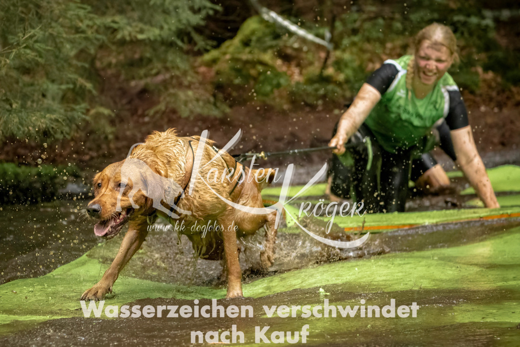 1227_ZZ94673-Bearbeitet | kk-dogfotos