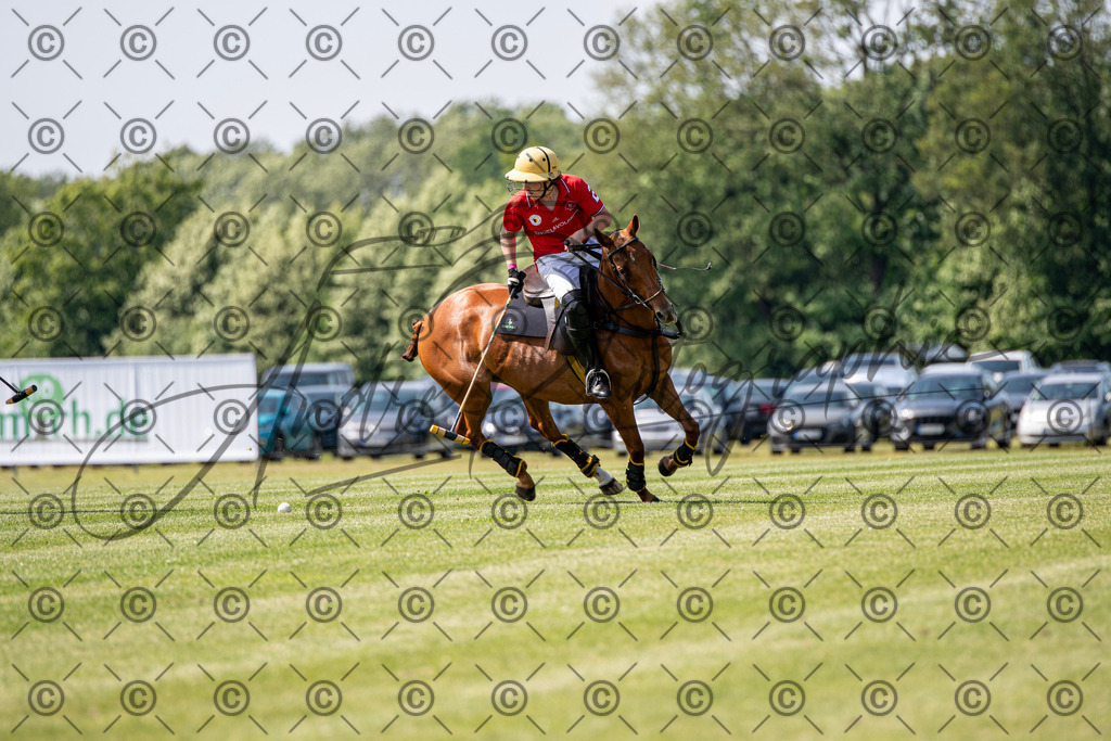 POL_2306 | andre_photographic