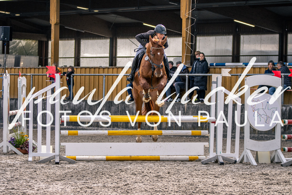 IMG_5267 | Erleben Sie dynamische Sport- und emotionale Tierfotografie in Süddeutschland mit Fotos von Paula. Spezialisiert auf Pferde- und Hundefotografie sowie Sportevents. Kontaktieren Sie mich für einzigartige und ausdrucksstarke Bilder Ihrer besonderen Momente.