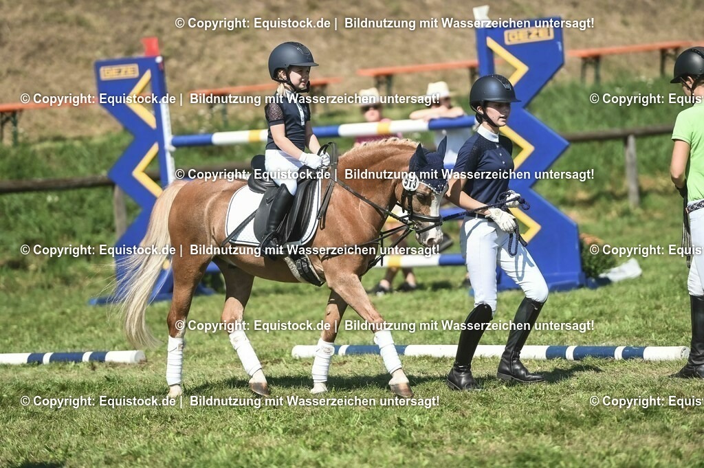 20230910_11-5_Führzügel-WB_0031 | Foto: Thomas Hartig