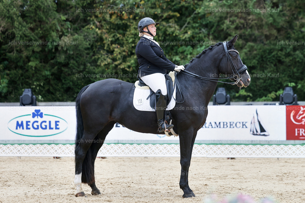 04_1-135-Dressur M__ -StoibPH-StoibPH-2676 | working equitationturnier fotograf videograf stoibphotography marixx film working equitation deutschland reitsport turnierfotografie eventfotografie equestrian events
