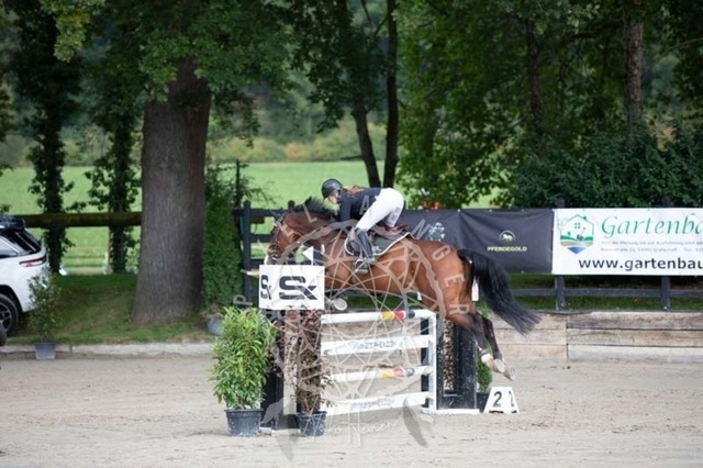 2B4A3537 | pixelfaenger - Realisiert mit Pictrs.com