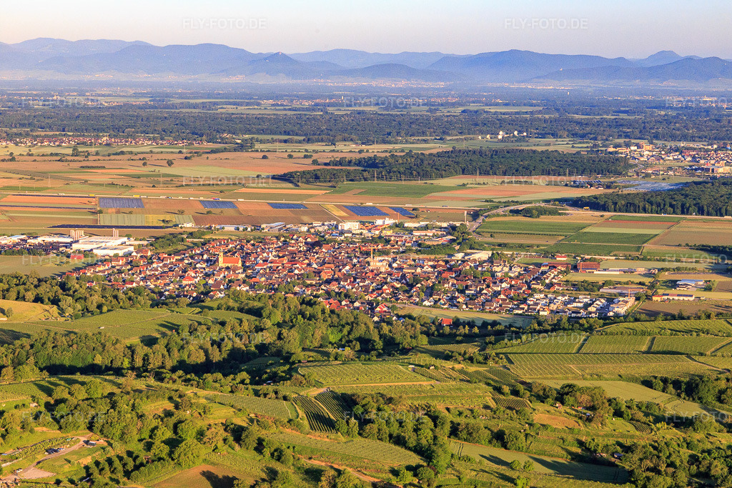 Luftbild: Ortsansicht aus Nordosten in Ringsheim im Bundesland Baden-Württemberg in Deutschland. Foto: IMG_147509.jpg vom 30.05.2025 durch Werner Riehm/FLY-FOTO.de