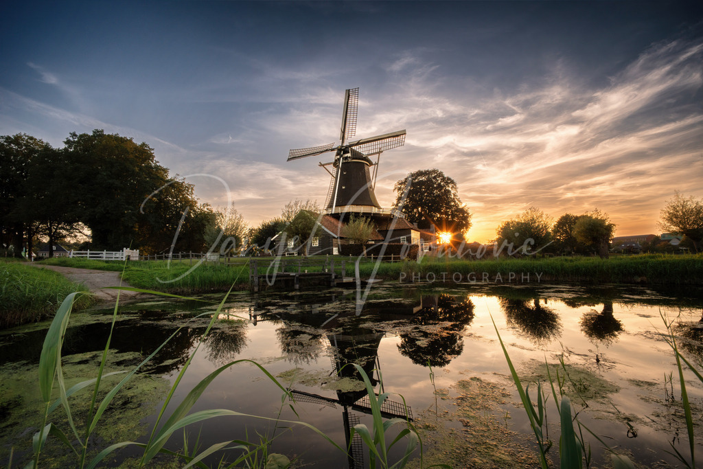 Pelmolen ter Horst | Wunderschöne Windmühle in Rijssen