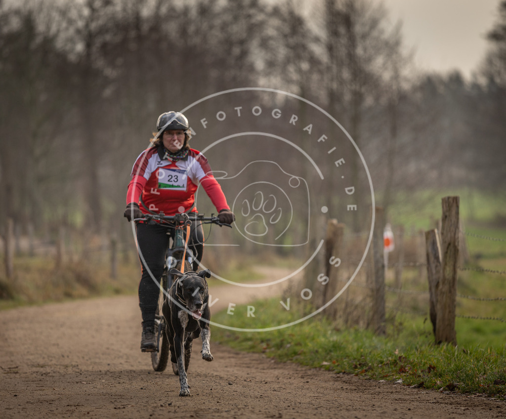 Pfotenfotografie_DV3A1989 | Hundefotografie, Tierfotograf, Pfotenfotografie, Fotoshooting Hund, Hunde Portrait, Hundesport, Hundeportraits, Heideshooting, Hunde, Sportfotograf, Hundefotograf, Turnierhundsport, THS,  - Realisiert mit Pictrs.com