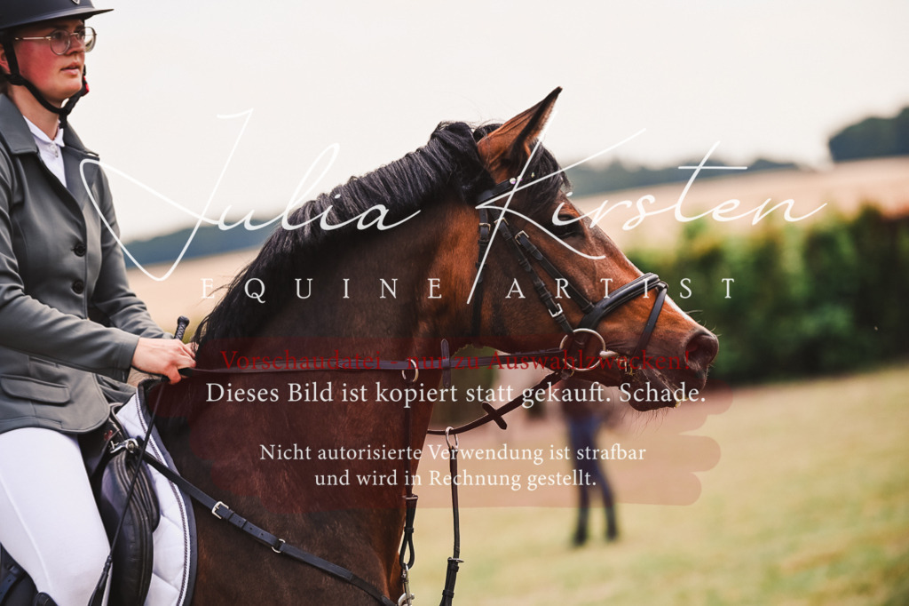 DSC_6891 | Pferde- und Turnierfotografie in Westsachsen. Pferdeportraits, Auftragszeichnungen und intuitive Kunst.