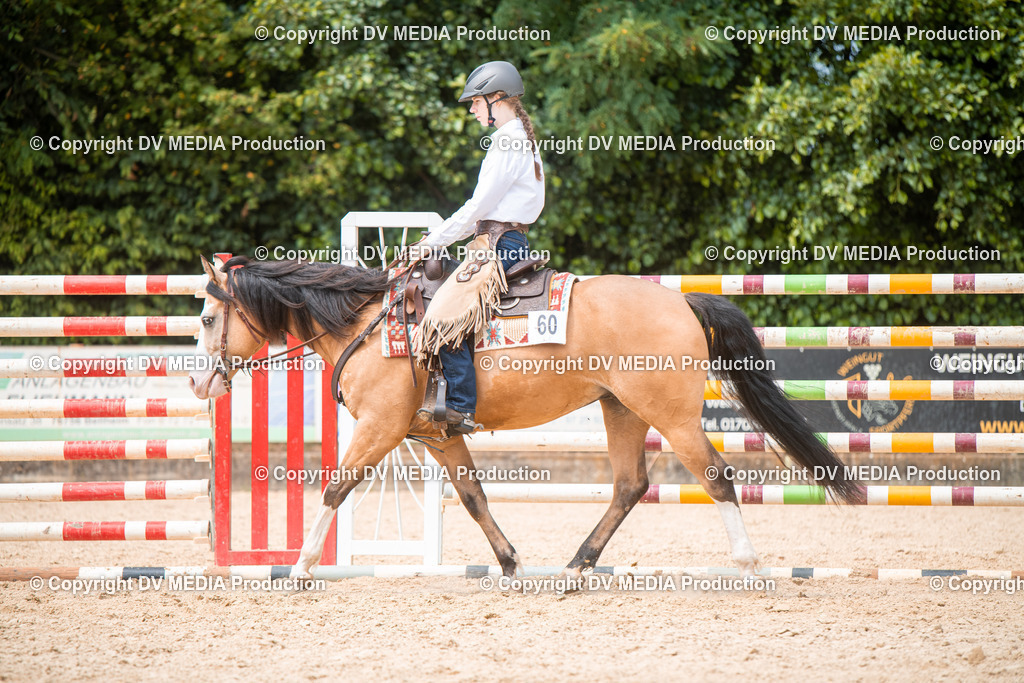 EWP_6575 | dv-media-shop - Realisiert mit Pictrs.com