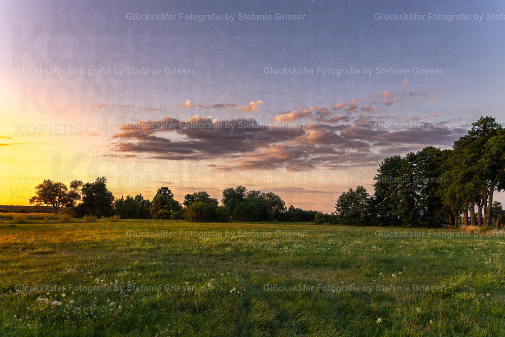 OQ0A0175 Kopie | Glückskäfer - Fotografie - Realisiert mit Pictrs.com