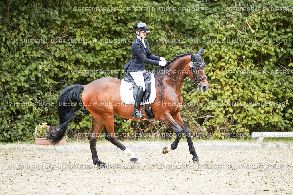 DSC07805 | Pferdegrafie