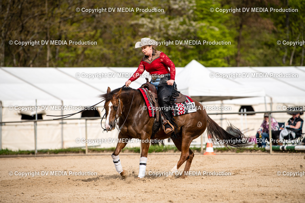 Heiligenwald Tag 2-267 | dv-media-shop - Realisiert mit Pictrs.com